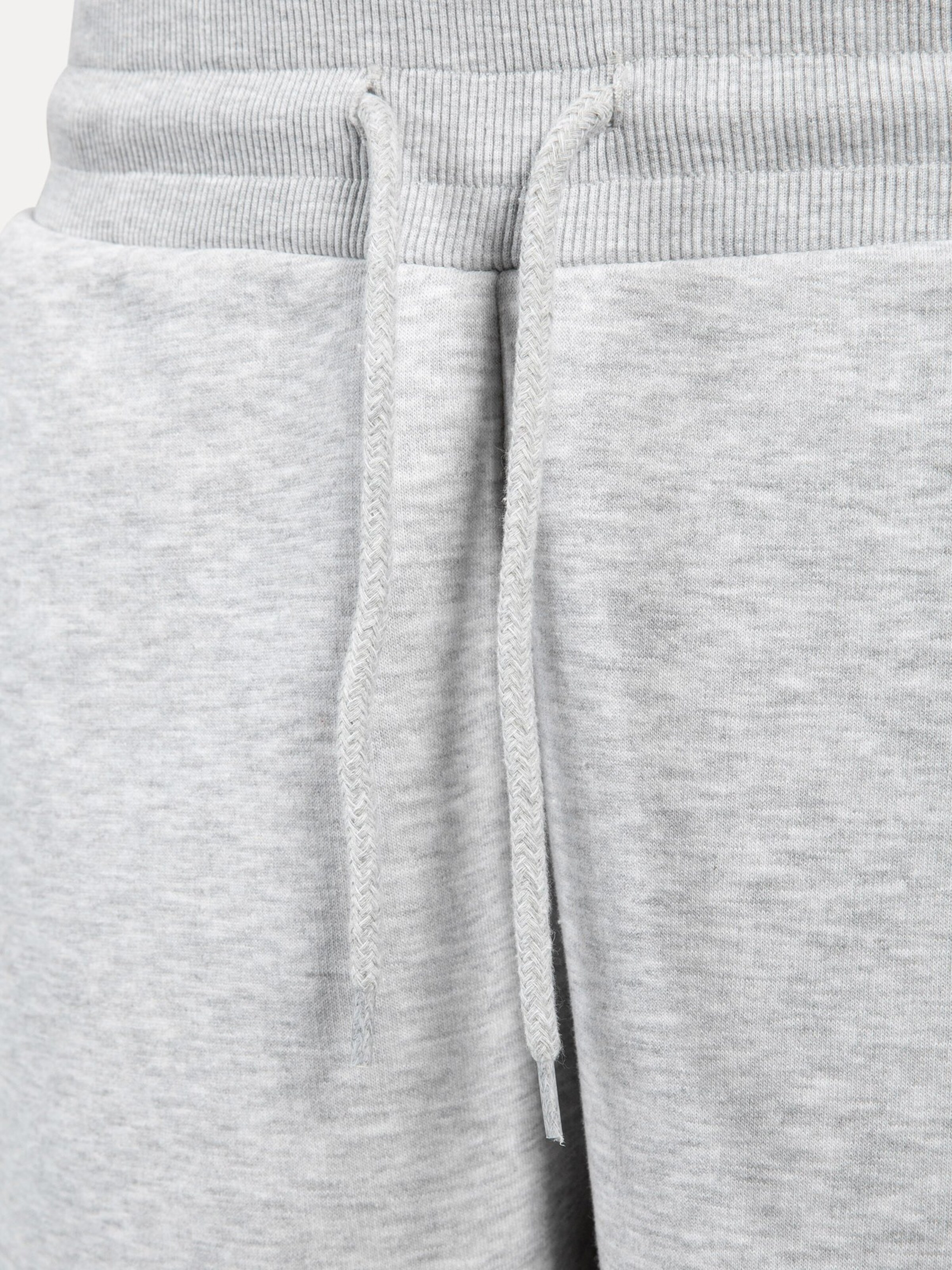 Smilodox Regular Pants in Grey