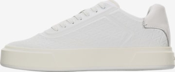 Baskets basses Calvin Klein en blanc : devant