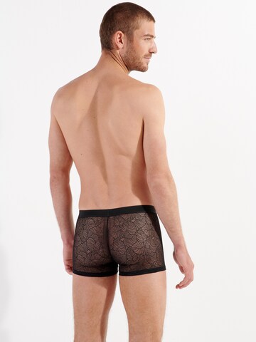 HOM Boxer shorts ' Jon Boxer ' in Black