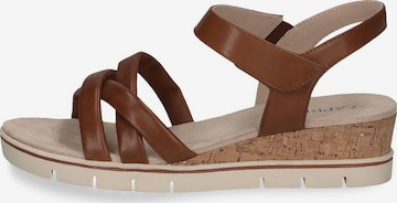 CAPRICE Sandalen met riem in Bruin