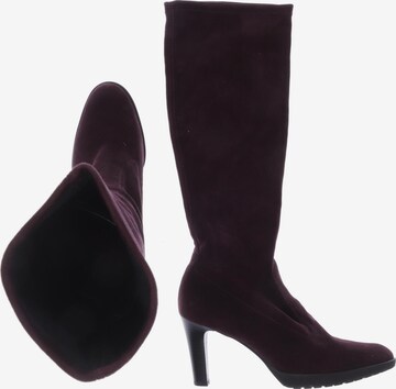 PETER KAISER Dress Boots in 39,5 in Purple: front