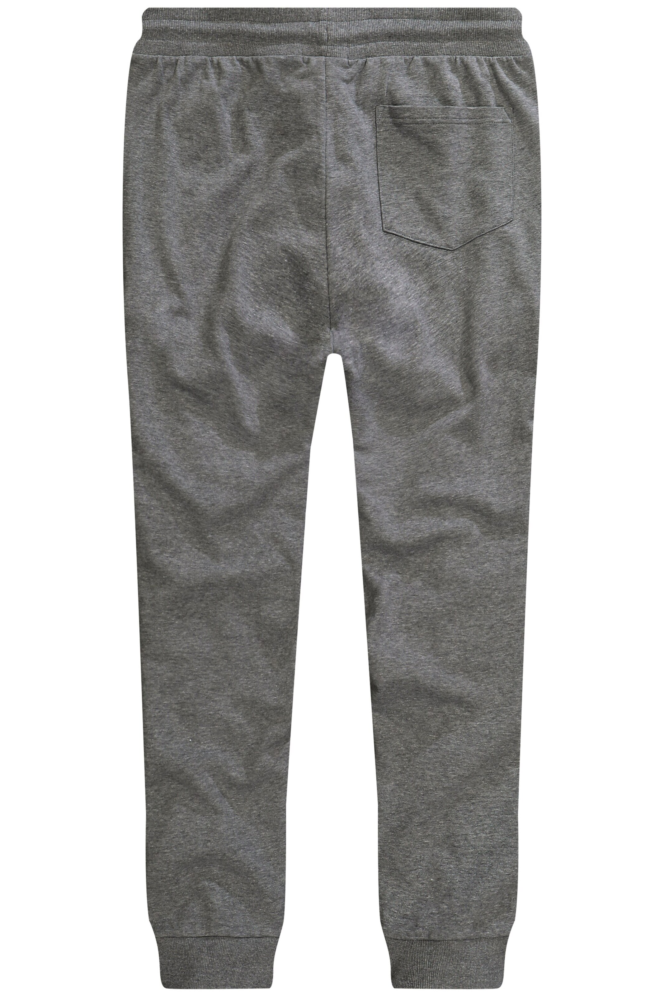 Men Plus Tapered Broek in Grijs