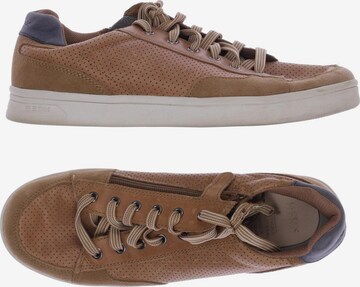 GEOX Sneakers & Trainers in 40 in Brown: front