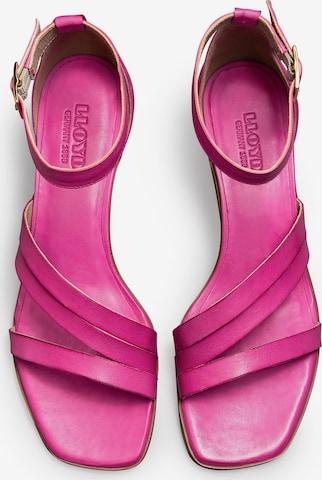 LLOYD Sandals in Mixed colors