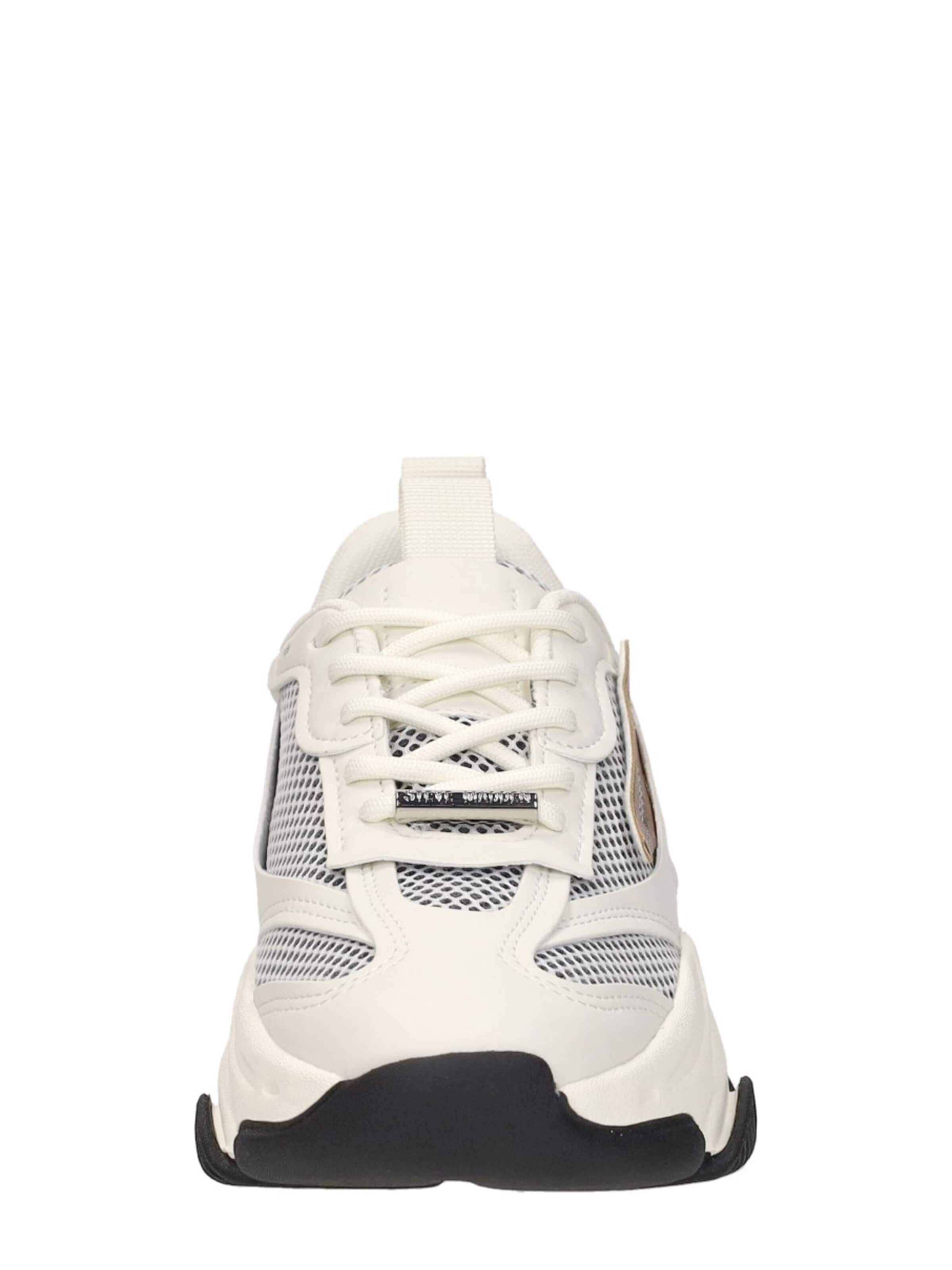 STEVE MADDEN Sneakers 'Possession-E' in White