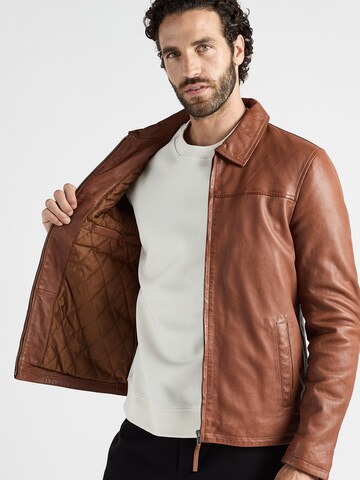 JCC Tussenjas 'Luca' in Bruin