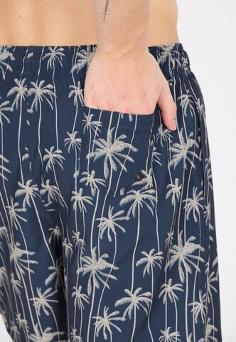 Cruz Board Shorts 'Rohan' in Blue
