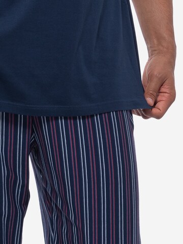 Ammann Pyjama kurz 'Night & Home Cotton' in Blau