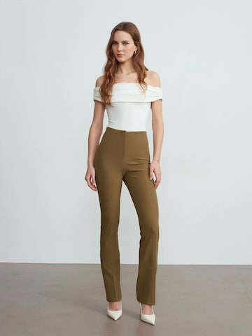 Regular Pantalon Dilvin en marron : devant