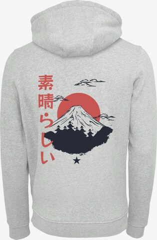 Pull-over 'Mount Fuji' F4NT4STIC en gris