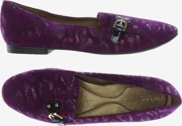 GEOX Flats & Loafers in 41 in Purple: front