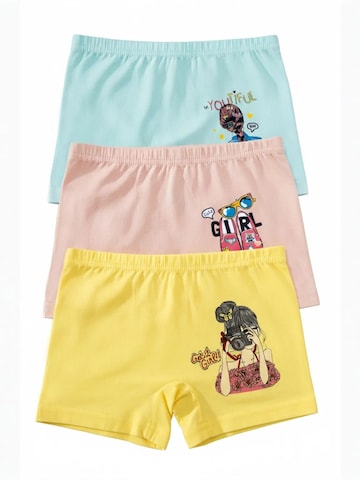 ÖTS Underpants 'ÖTS Damen Boxer-Shorts' in Mixed colours: front