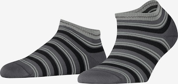 FALKE Füßlinge 'Smart Stripe' in Schwarz: Vorderseite