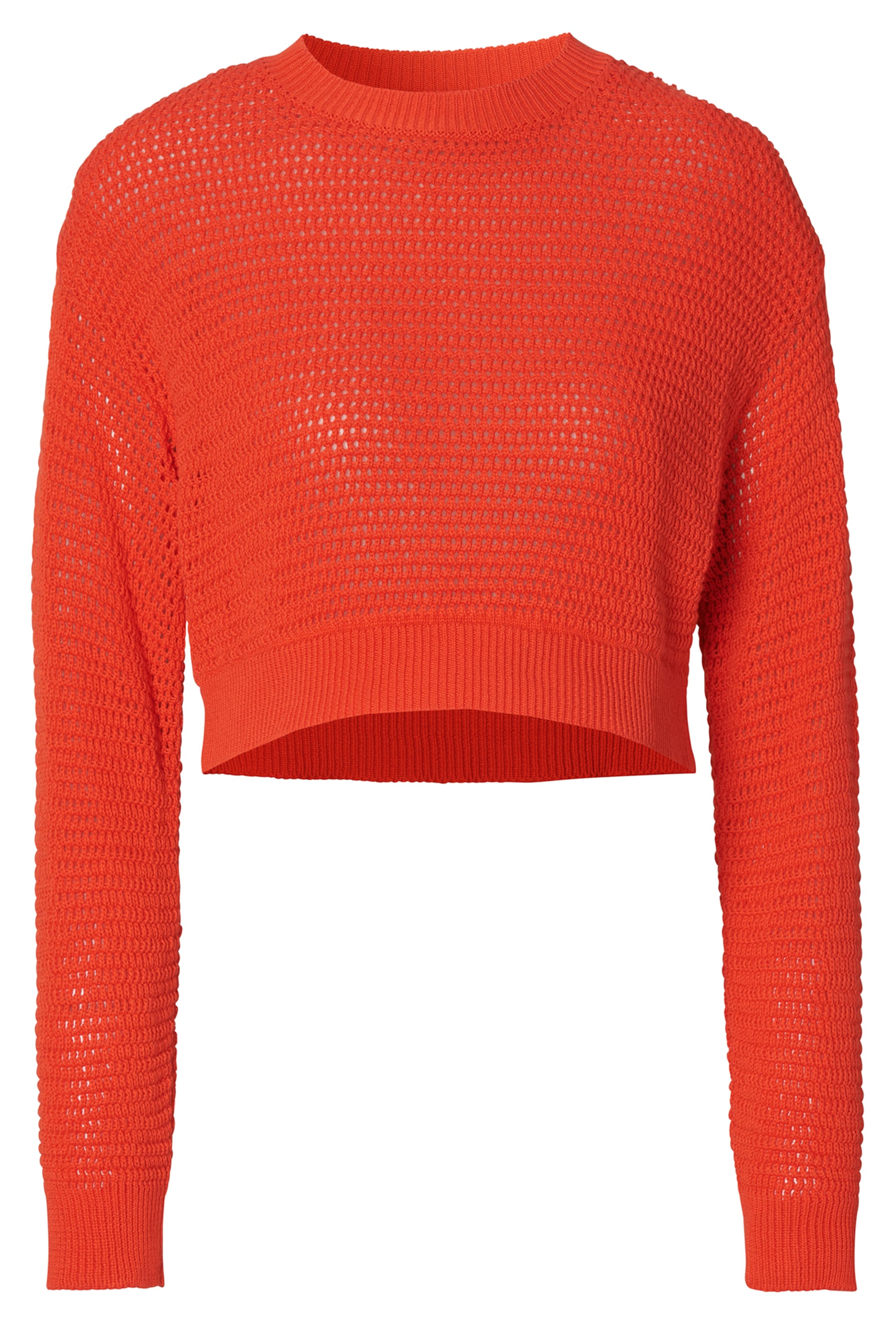 Noppies Pullover ' Pablo ' in Rot: Vorderseite