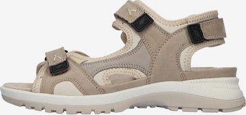 WALDLÄUFER Trekkingsandale 'Sora' in Beige: Vorderseite