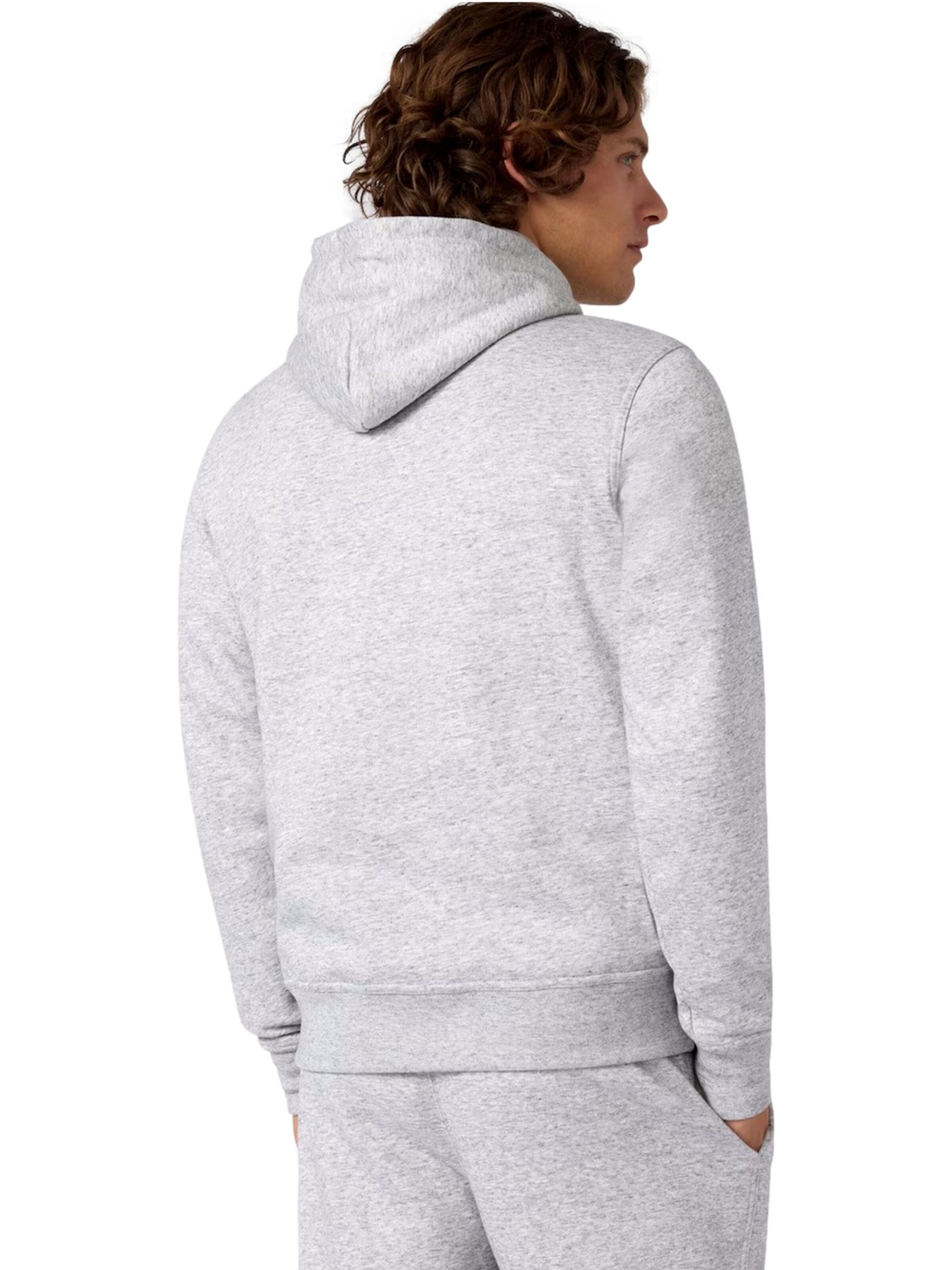 Champion Authentic Athletic Apparel Pullover i grå