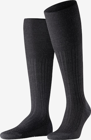 FALKE Knee High Socks 'Bristol Pure' in Grey: front