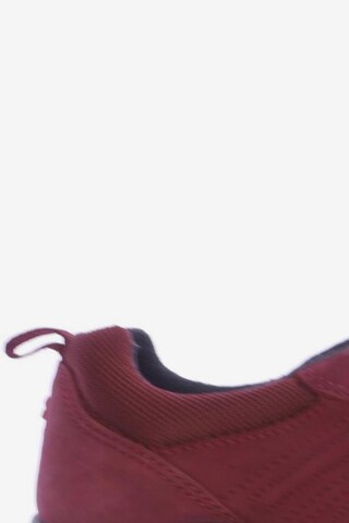 ECCO Sneaker 39 in Rot