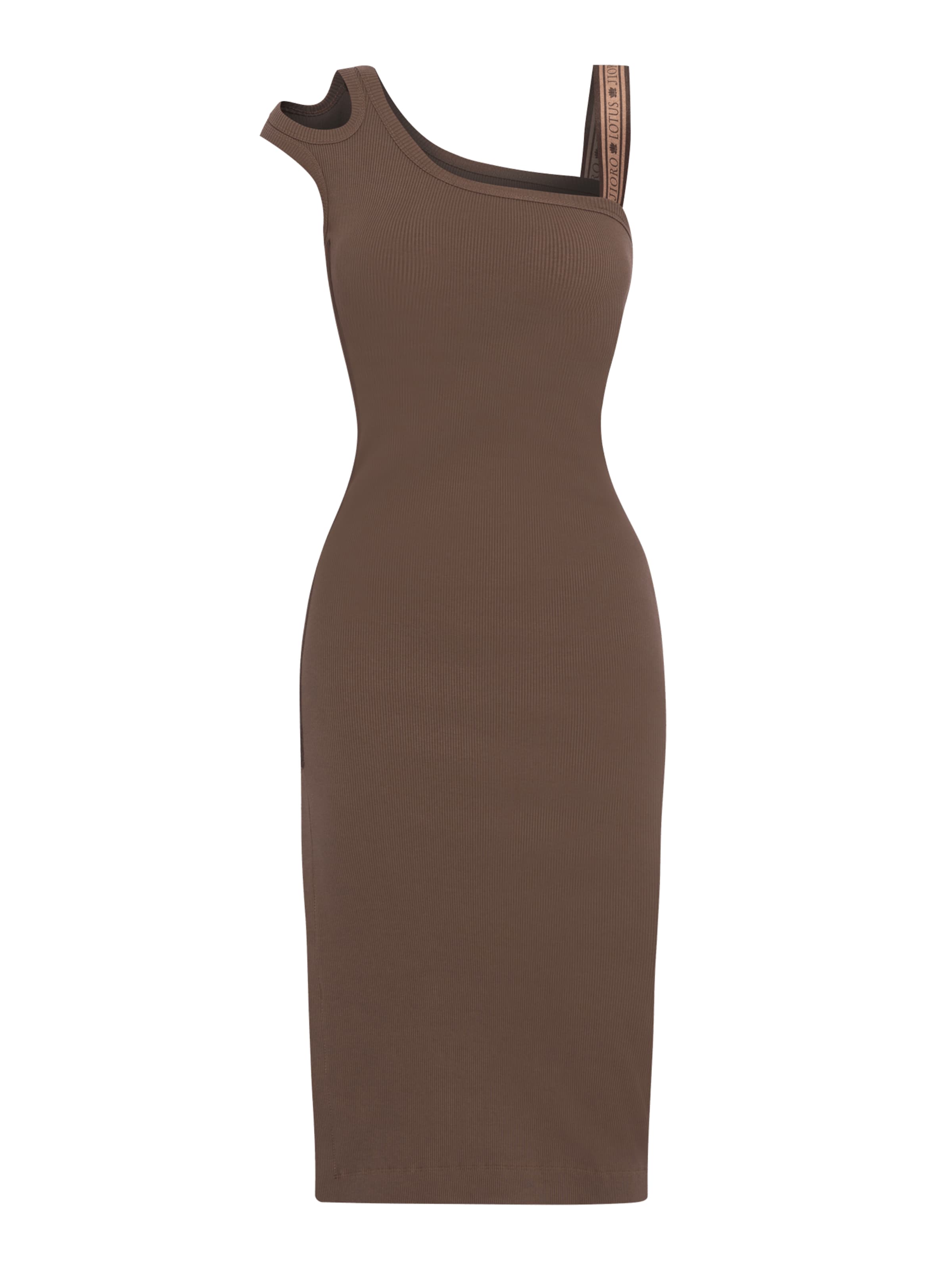 JIORO Dress 'ESSENTIALS' in Brown: front
