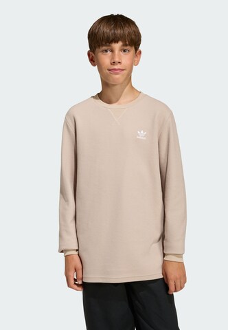 T-Shirt ADIDAS ORIGINALS en beige : devant
