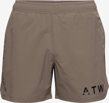 HALO Pants in Brown: front