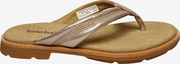 TIMBERLAND T-bar sandals in Gold: front