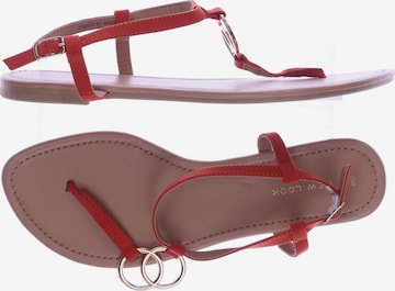 NEW LOOK Sandals & High-Heeled Sandals in 40 in Red: front