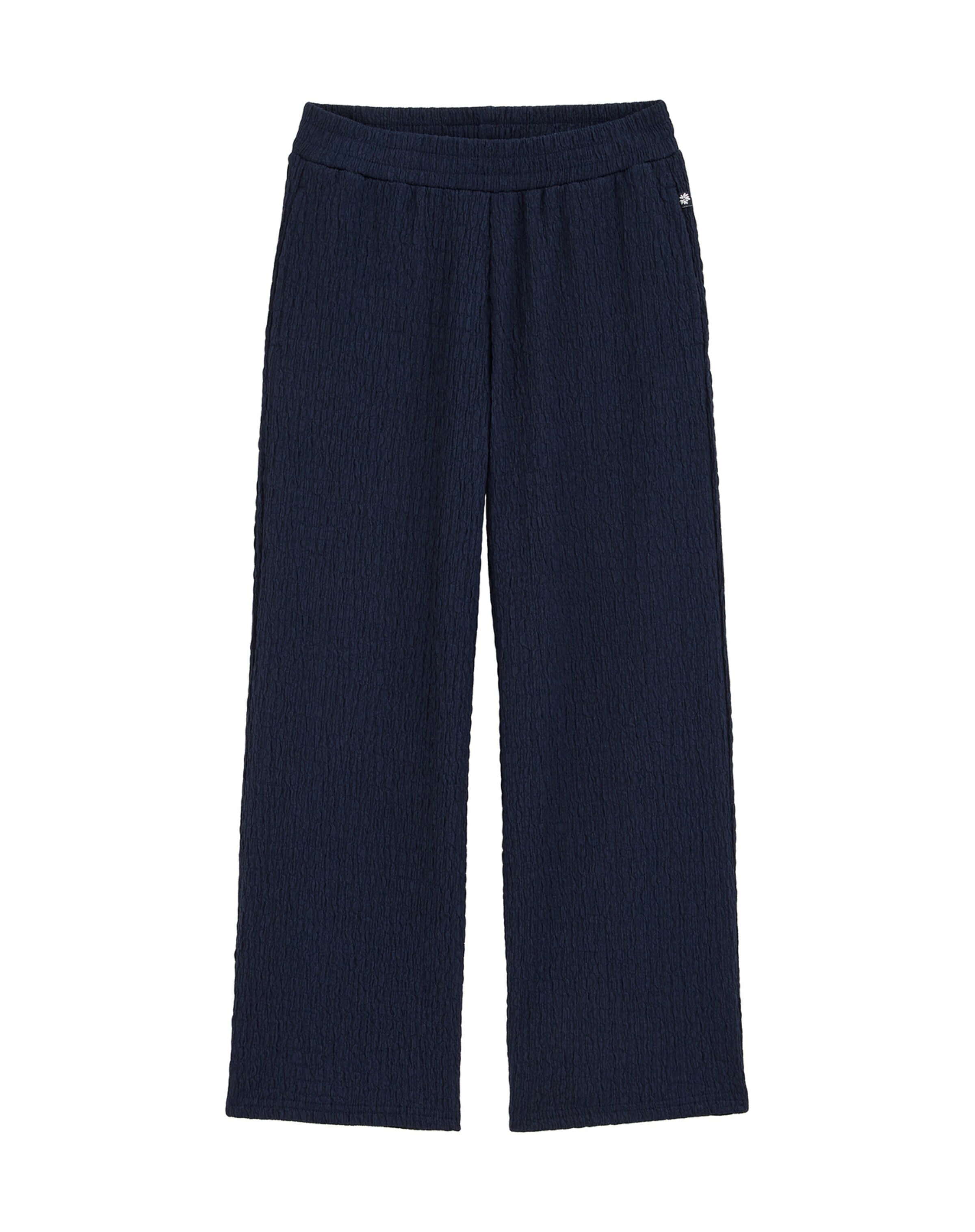 zils WE Fashion Standarta Bikses: no priekšpuses