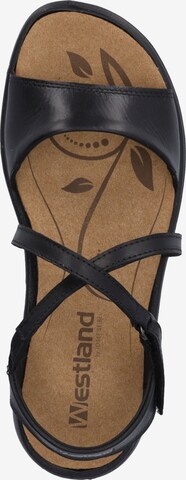 Westland Sandals 'Ibiza' in Black