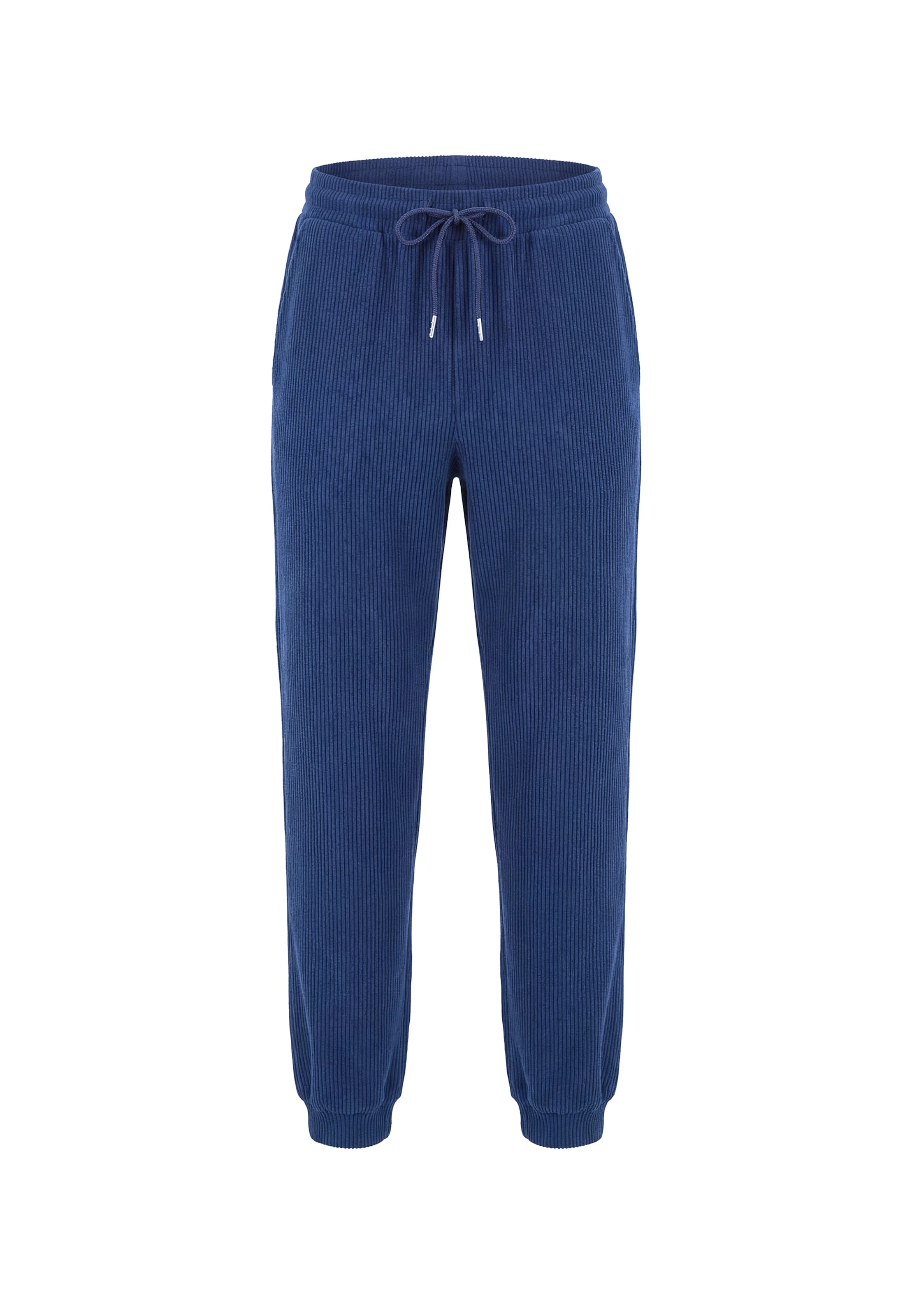 myMo ATHLSR Regular Pants in Blue: front