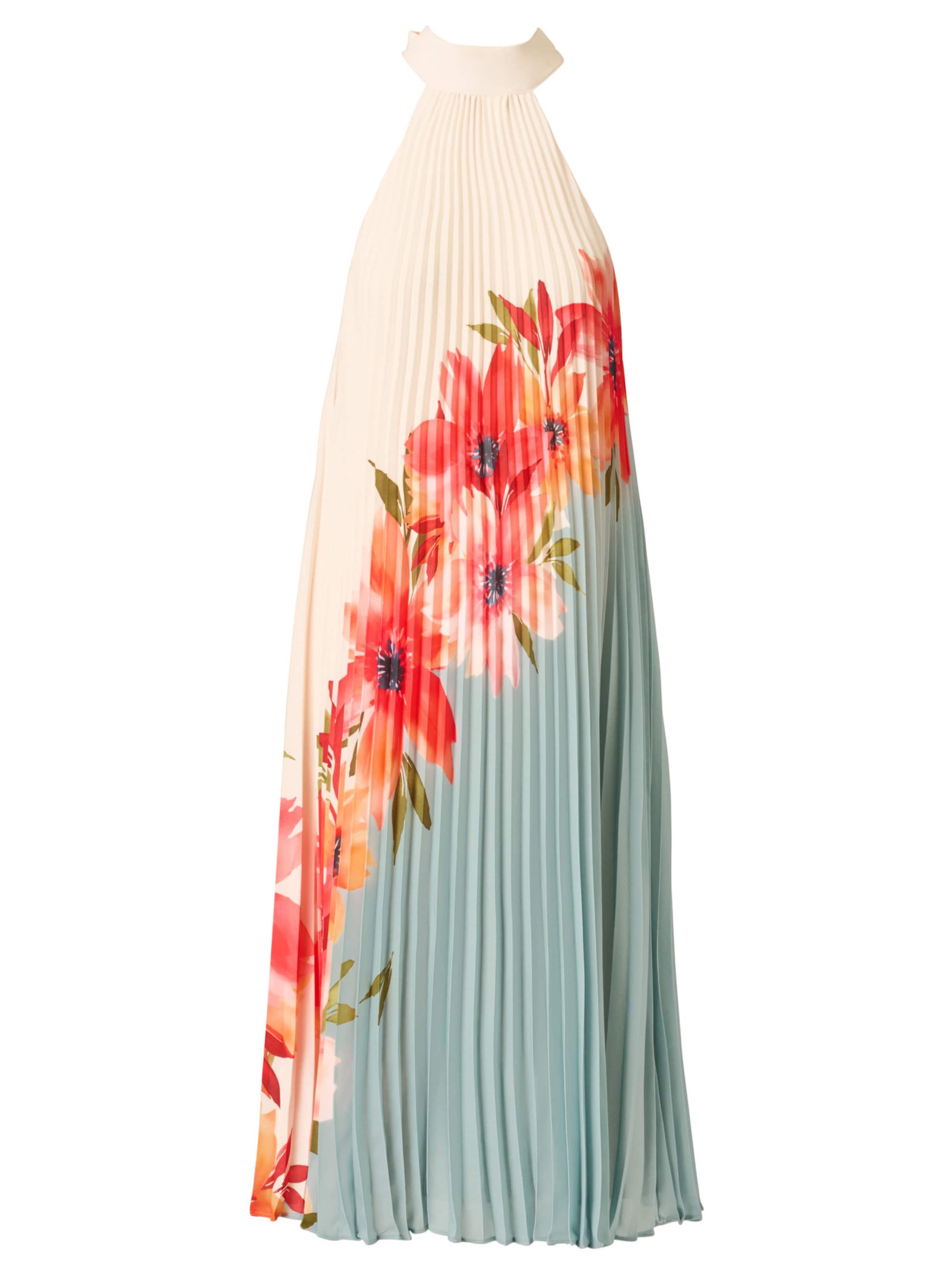 Adrianna Papell Summer dress 'Floral Pleated Chiffon Dress' in 34 in Mixed colours, Item view