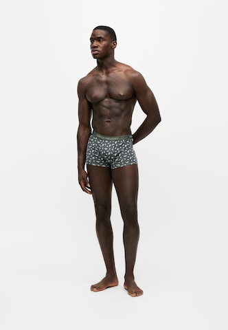 Emporio Armani Boxershorts in Groen
