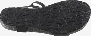 PANAMA JACK Sandals in Black