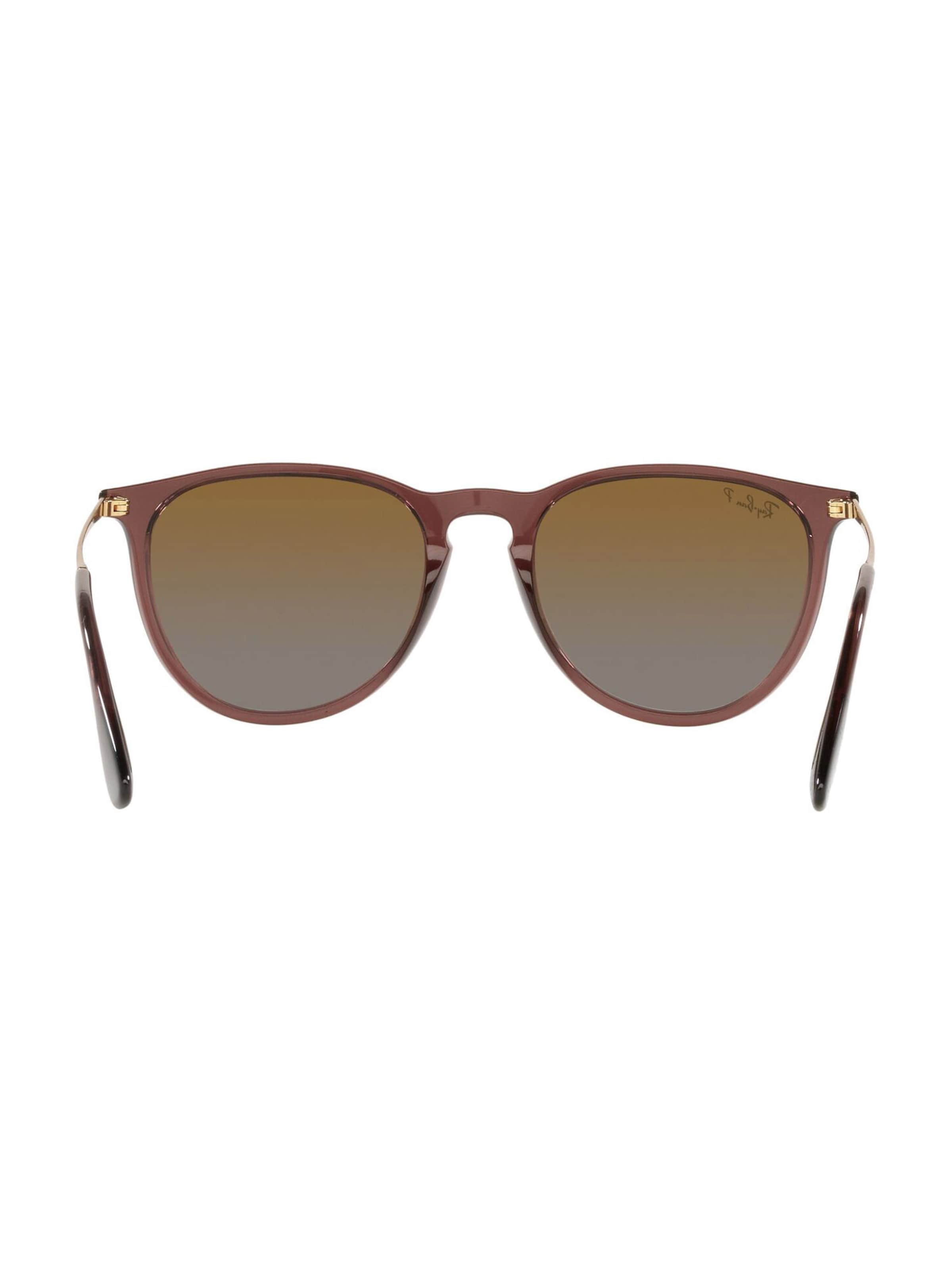 Ray-Ban Sunglasses 'Erika' in Brown