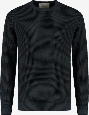 Dstrezzed Pullover 'Leones' in Blau: Vorderseite