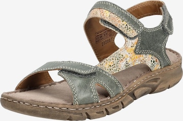 JOSEF SEIBEL Sandals 'Brenda 03' in Green: front