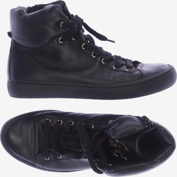 Högl Sneakers & Trainers in 38 in Black: front