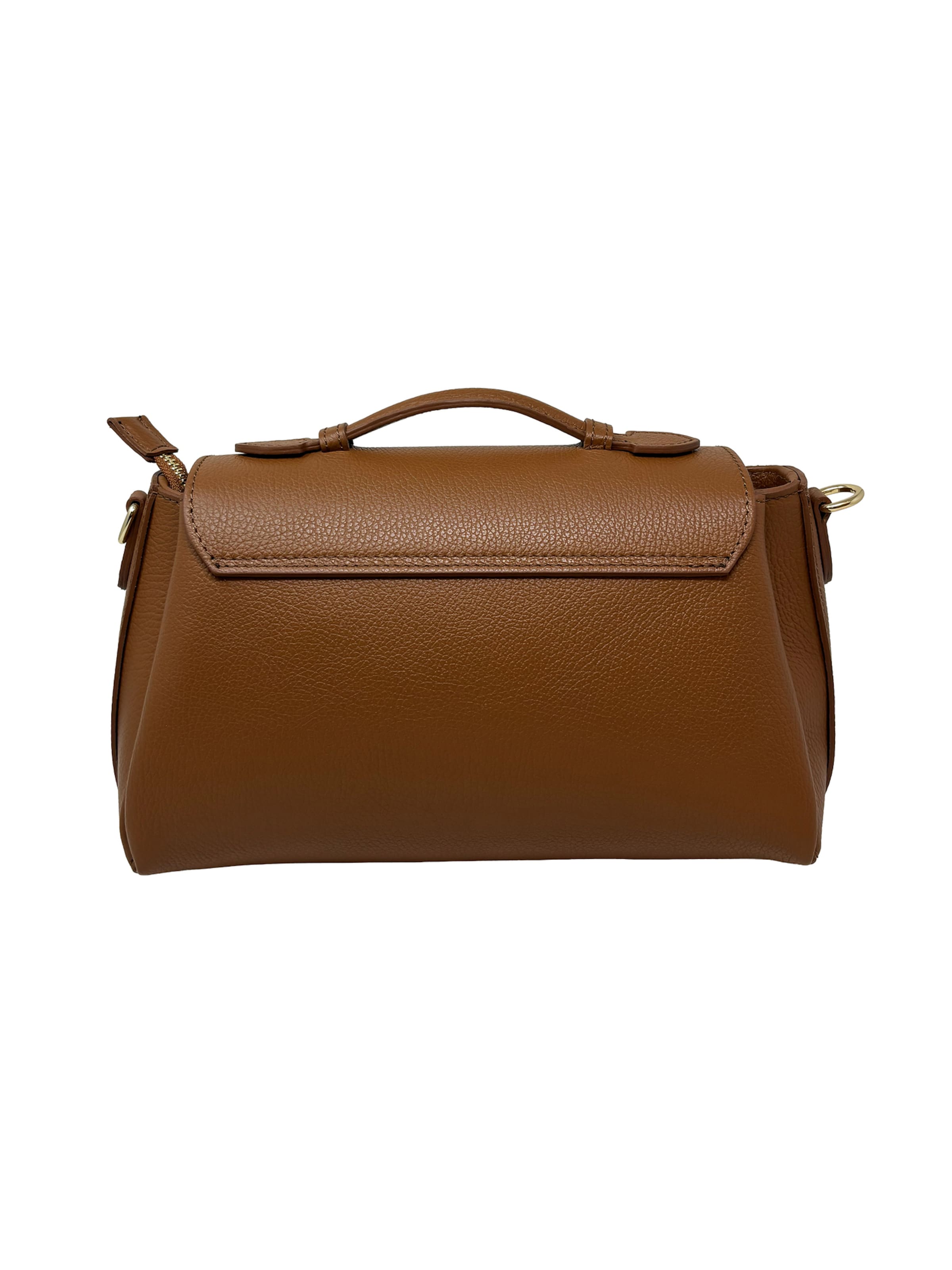 CHICCA BORSE Handbag in Brown