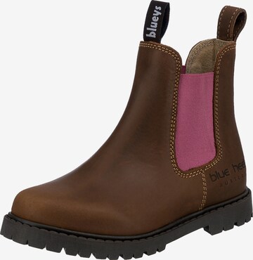 Blue Heeler Boots 'SYDNEY' in Brown: front