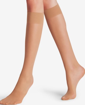 FALKE Overknee Strümpfe 'Matt Deluxe' in Pink: Vorderseite