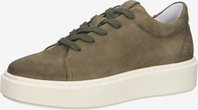 PostXChange Sneaker low in grün / oliv, Produktansicht