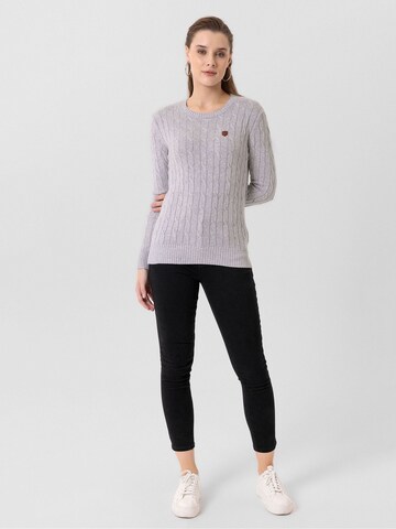 Williot Sweater 'Fuerteventura' in Grey