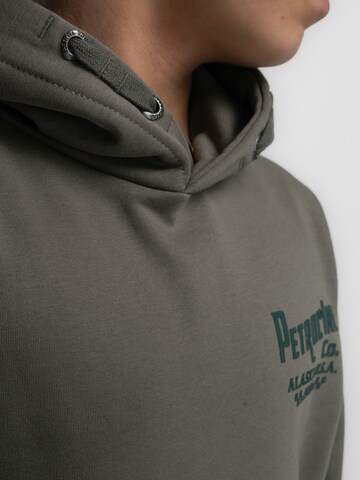 Petrol Industries Sweatshirt in Groen