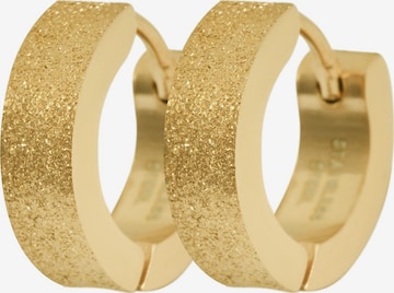 Akzent Earrings 'Matty, langlebig' in Gold: front