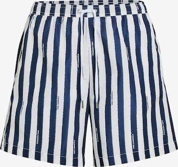 mėlyna Karl Lagerfeld Maudymosi trumpikės: priekis