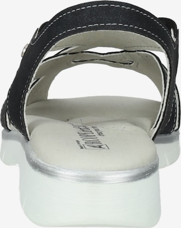 Arcopedico Strap Sandals in Black