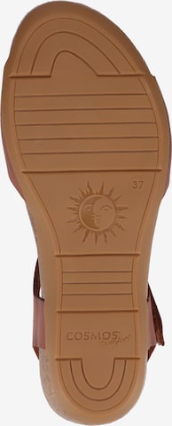 Sandales COSMOS COMFORT en marron