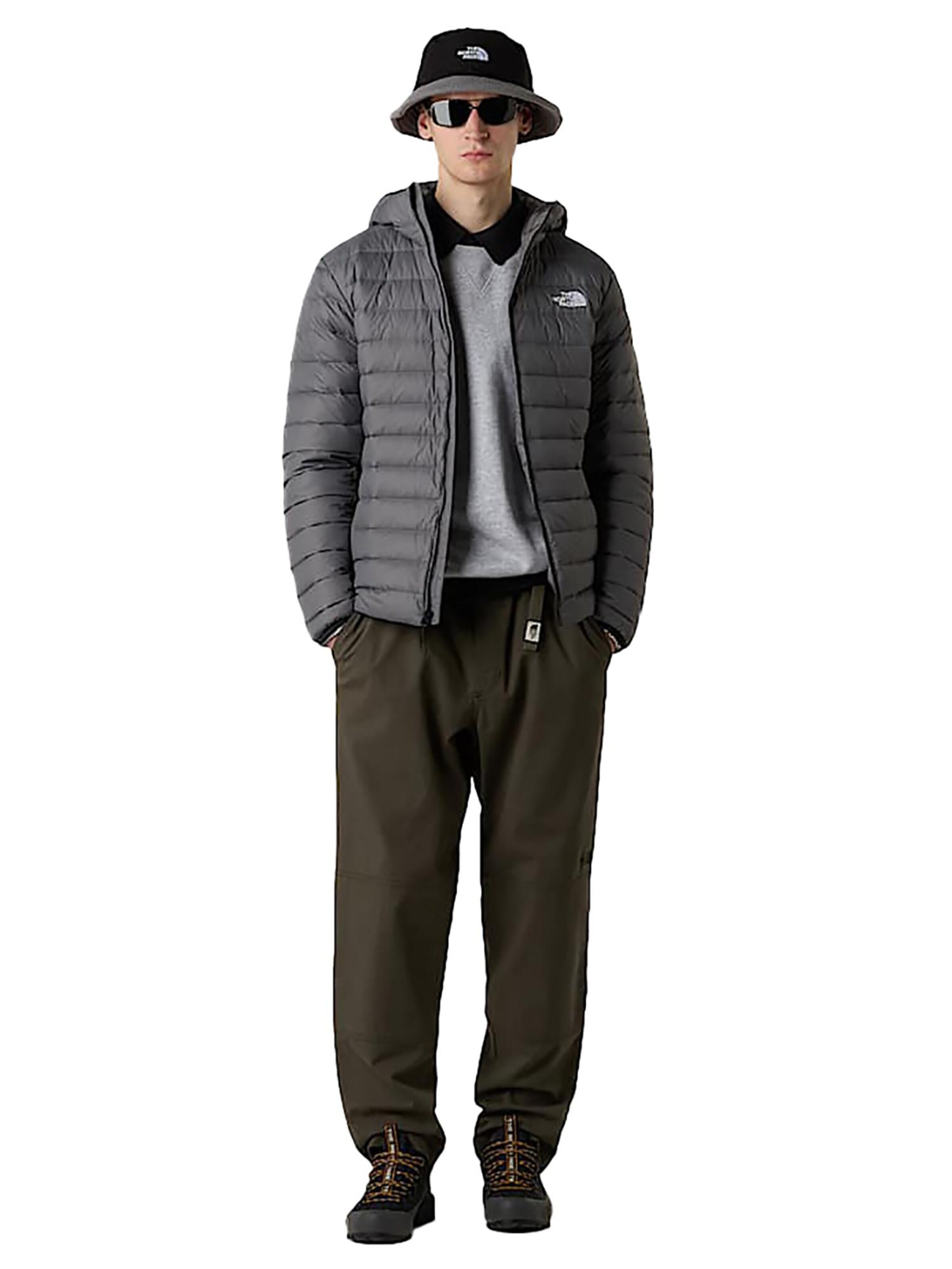 THE NORTH FACE Übergangsjacke‌ in Grau