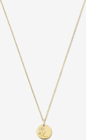 Violet Hamden Necklace in Gold: front