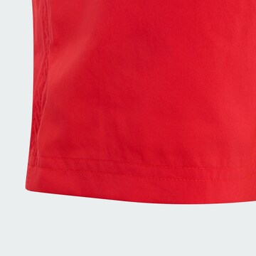 ADIDAS SPORTSWEAR Sportbadeshorts in Rot